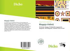 Bookcover of Blagoja Vidinić