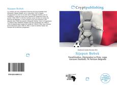 Bookcover of Stjepan Bobek