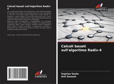 Buchcover von Calcoli basati sull'algoritmo Radix-4