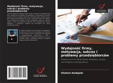 Bookcover of Wydajność firmy, motywacja, sukces i problemy przedsiębiorców