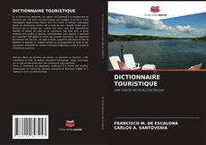 Capa do livro de DICTIONNAIRE TOURISTIQUE 