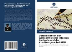 Bookcover of Determinanten der Wirksamkeit der internen Kontrolle und der Kreditvergabe bei KMU