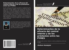 Portada del libro de Determinantes de la eficacia del control interno y de los préstamos entre las PYMES