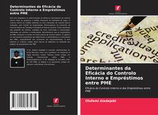 Capa do livro de Determinantes da Eficácia do Controlo Interno e Empréstimos entre PME 