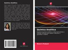 Bookcover of Química Analítica