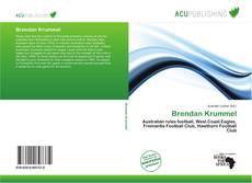 Buchcover von Brendan Krummel