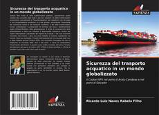 Bookcover of Sicurezza del trasporto acquatico in un mondo globalizzato