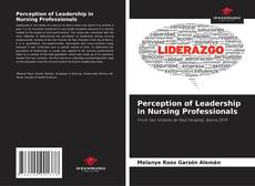 Bookcover of Perception of Leadership in Nursing Professionals