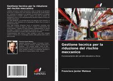 Bookcover of Gestione tecnica per la riduzione del rischio meccanico