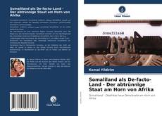 Bookcover of Somaliland als De-facto-Land - Der abtrünnige Staat am Horn von Afrika