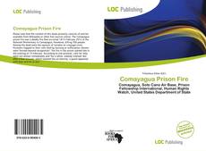 Bookcover of Comayagua Prison Fire