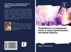 Portada del libro de Разработка углеродной пены и пены кремнезема методом Replica.