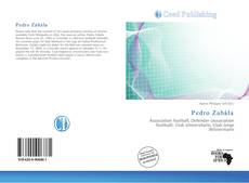 Portada del libro de Pedro Zabála