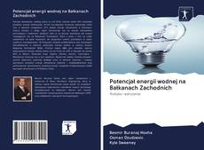 Bookcover of Potencjał energii wodnej na Bałkanach Zachodnich