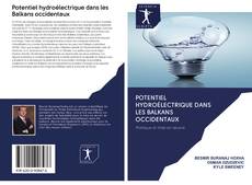 Portada del libro de Potentiel hydroélectrique dans les Balkans occidentaux
