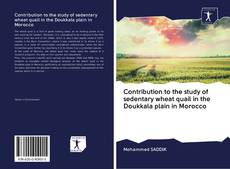Capa do livro de Contribution to the study of sedentary wheat quail in the Doukkala plain in Morocco 