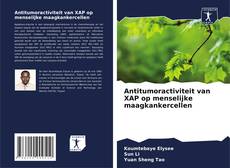 Buchcover von Antitumoractiviteit van XAP op menselijke maagkankercellen