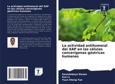 Portada del libro de La actividad antitumoral del XAP en las células cancerígenas gástricas humanas
