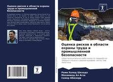 Bookcover of Оценка рисков в области охраны труда и промышленной безопасности