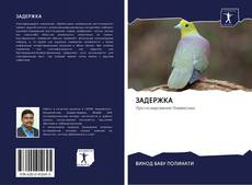 Bookcover of ЗАДЕРЖКА