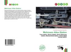 Buchcover von Mehrower Allee Station