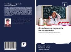 Bookcover of Grundlegende organische Namensreaktion