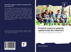 Capa do livro de Protokół ryzyka w systemie sądownictwa dla nieletnich 