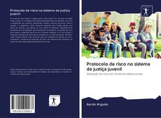 Buchcover von Protocolo de risco no sistema de justiça juvenil