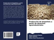 Producción de biopellets a partir de desechos agroindustriales kitap kapağı