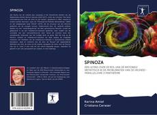 SPINOZA kitap kapağı