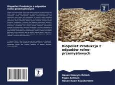 Biopellet Produkcja z odpadów rolno-przemysłowych kitap kapağı