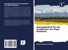 Portada del libro de Energiebedarf für die Produktion von Raps-Biodiesel