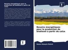 Copertina di Besoins énergétiques pour la production de biodiesel à partir de colza