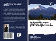 Buchcover von Cartographie à super résolution des arbres à partir d'images satellites