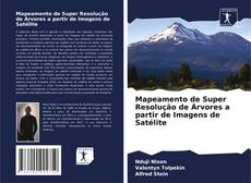 Buchcover von Mapeamento de Super Resolução de Árvores a partir de Imagens de Satélite
