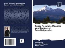Super Resolutie Mapping van Bomen van Satellietbeelden kitap kapağı