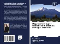 Bookcover of Mappatura in super risoluzione di alberi da immagini satellitari