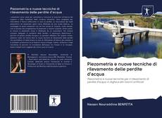 Bookcover of Piezometria e nuove tecniche di rilevamento delle perdite d'acqua