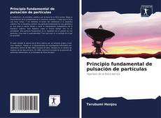 Buchcover von Principio fundamental de pulsación de partículas