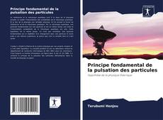 Capa do livro de Principe fondamental de la pulsation des particules 