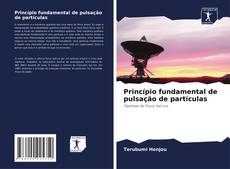 Buchcover von Princípio fundamental de pulsação de partículas