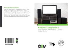 Katsumi Yanagishima的封面