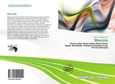 Bookcover of Bilocate