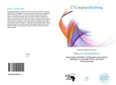 Bookcover of Davit Janelidze