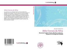 Capa do livro de Júlio Correia da Silva 