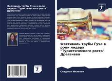 Обложка Фестиваль трубы Гуча в роли лидера "Туристического роста" Драгачево