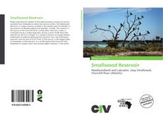 Smallwood Reservoir的封面