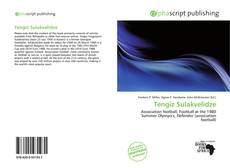 Tengiz Sulakvelidze kitap kapağı