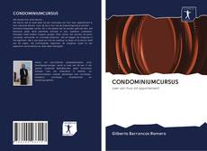 Portada del libro de CONDOMINIUMCURSUS