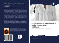 Le défi et les perspectives de la petite entreprise en L'Éthiopie : kitap kapağı